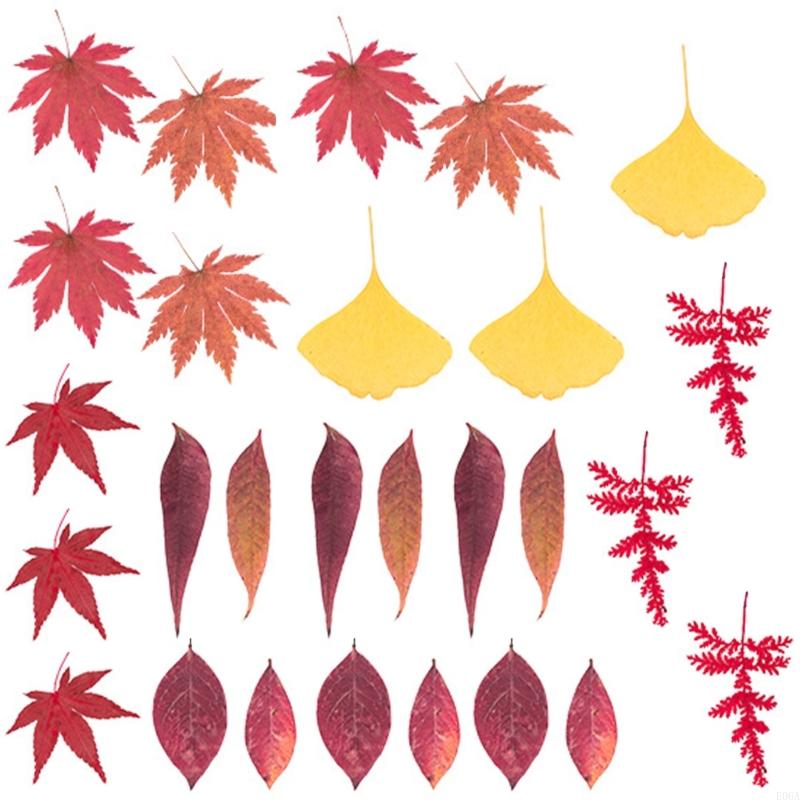 Natural Pressed Dried Flower F - Resin Craft Ideas recension och pris