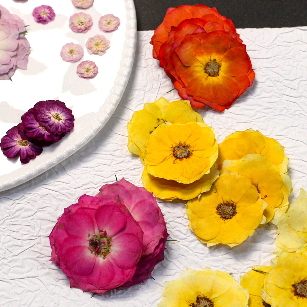 60 Yellow Mixed-size Pressed R - Resin Craft Ideas recension och pris