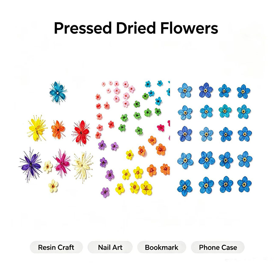 60pcs Mini Pressed Dried Flowe - Resin Craft Ideas recension och pris