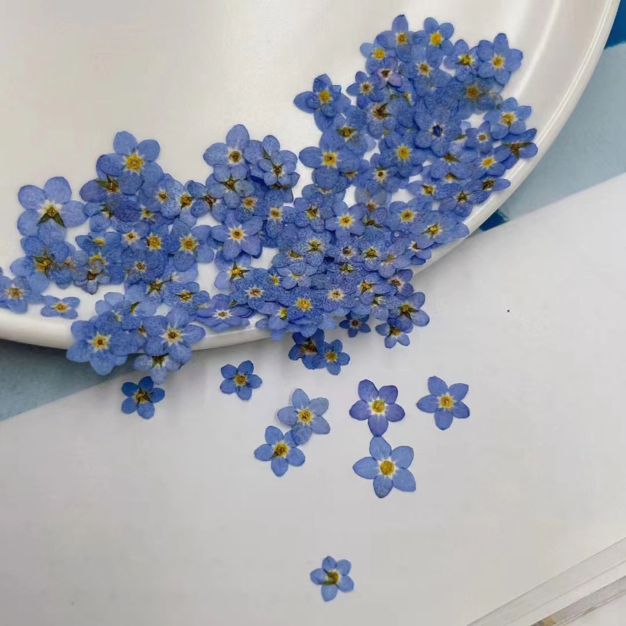 60pcs Mini Pressed Dried Flowe - Resin Craft Ideas recension och pris